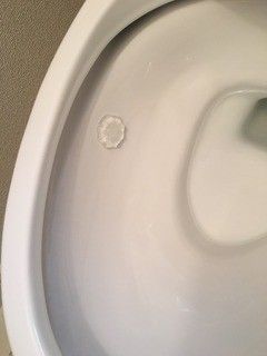 気を付けるのはココだけ！きれいが続くトイレ掃除の極意