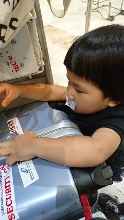 子連れハワイ旅行は機内とホテルで8割決まる