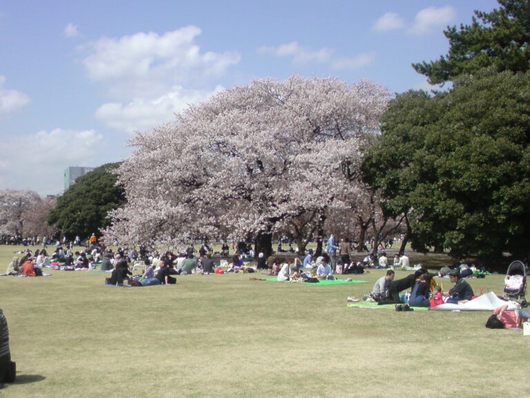 親子で楽しめる！散歩達人が教える東京都内の穴場花見スポット5選