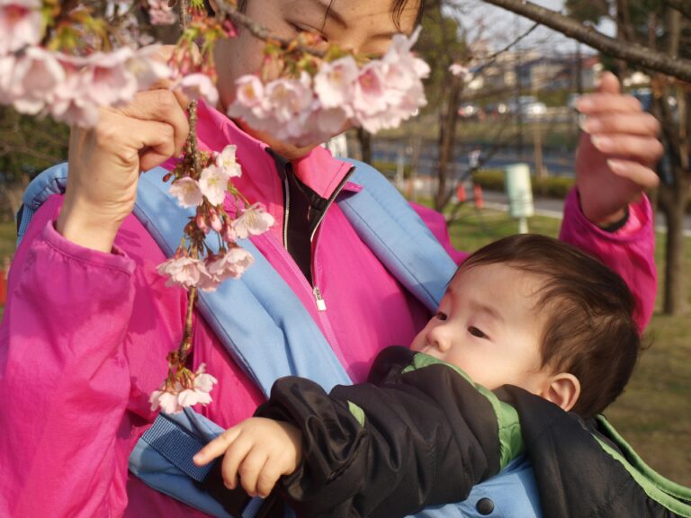 子どもと一緒にお花見、ピクニックを楽しむコツと役立つ持ち物