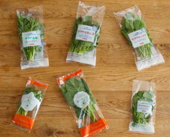 発見！家計に優しい高騰しない葉物野菜！？
