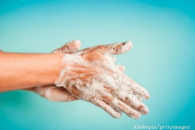 夏のお弁当作りの前にチェック！「食中毒予防のための３つの原則」とは？