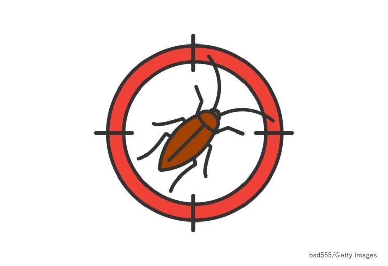 ゴキブリを越冬させない！G撲滅作戦は夏から秋が勝負の季節