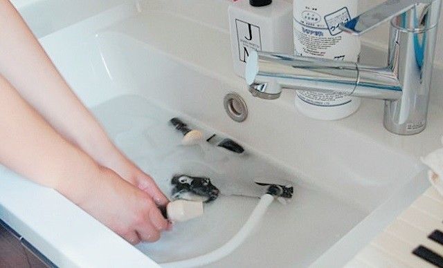 【夏休みに30分だけ】新学期がスムーズになる「子どもの学用品」の整え方