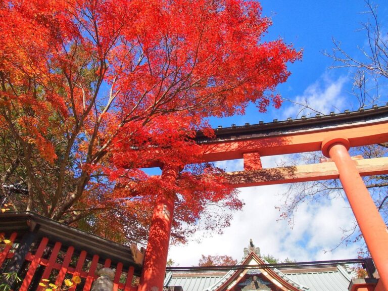 東京都内の徒歩で紅葉が楽しめるおすすめスポット5選