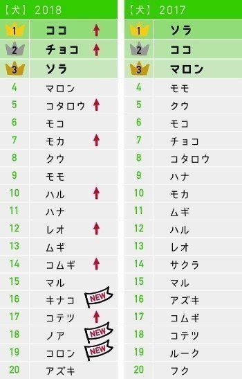 【2018年】いぬねこお名前ランキング発表！断トツ人気のお名前は…？