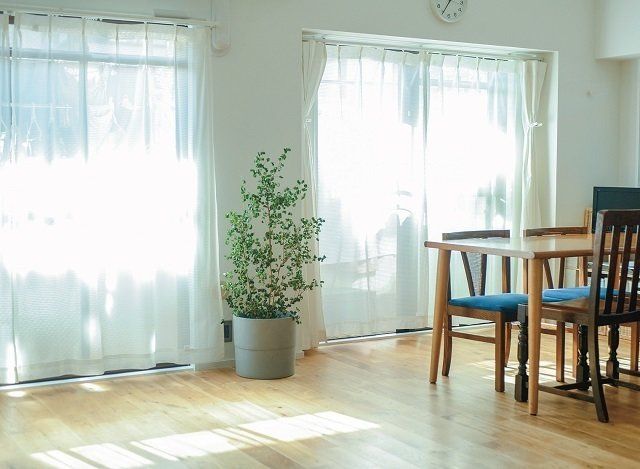 「見える化ゲーム」であなたも「捨てられる人」になろう！