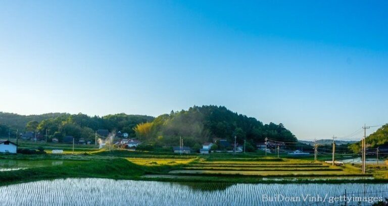 貯蓄0円で田舎暮らし開始！貯蓄&節約アイデアを大公開