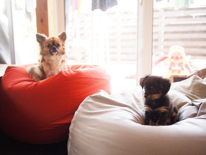 人をダメにする？いえ、無印良品の「幸せになるソファ」です