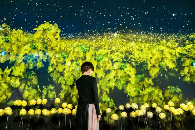 幻想的な桜の下で春にピッタリな紅茶を体験してみませんか