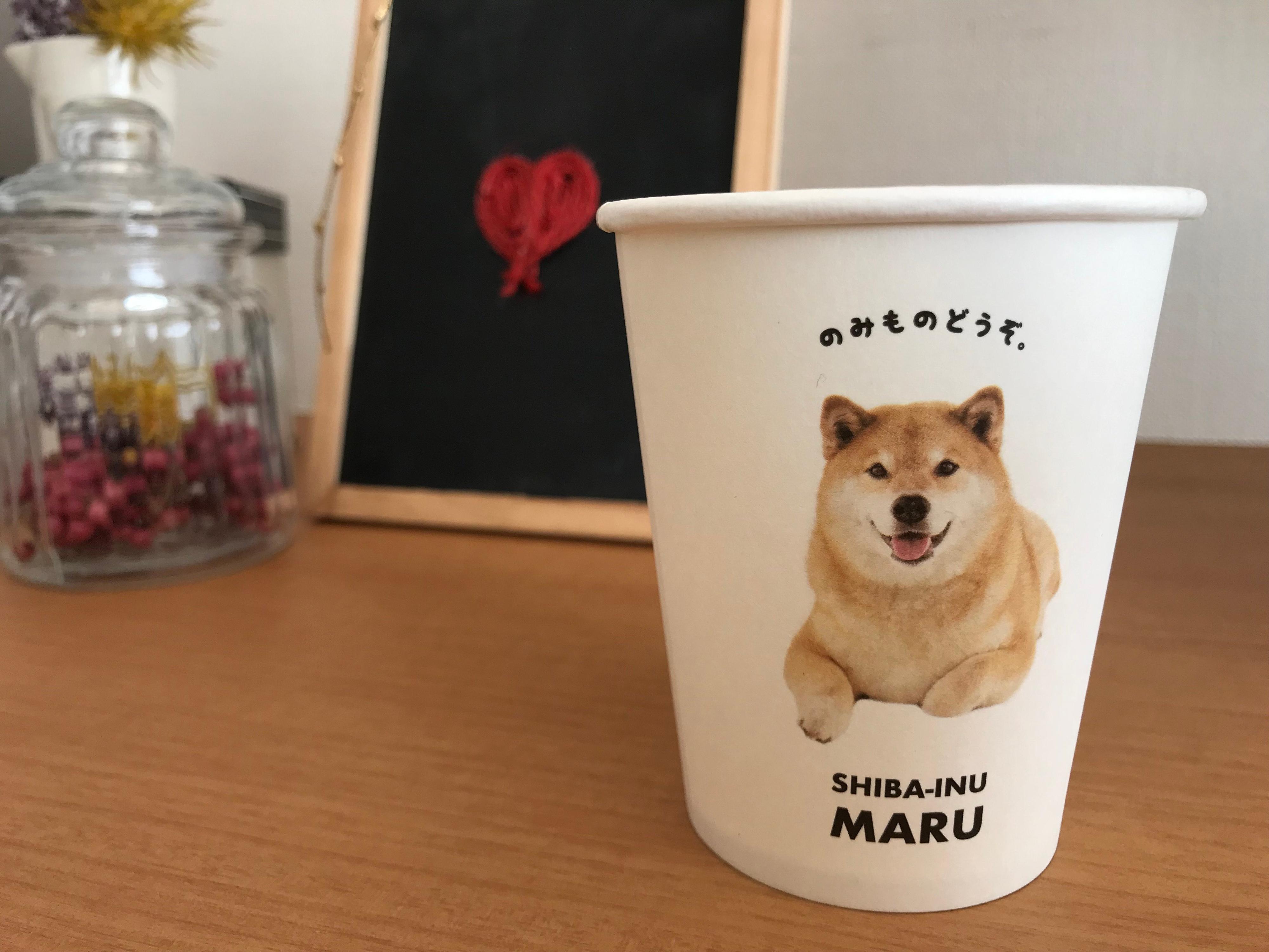 犬好き必見！Can☆doの「柴犬まる」シリーズがかわいい！