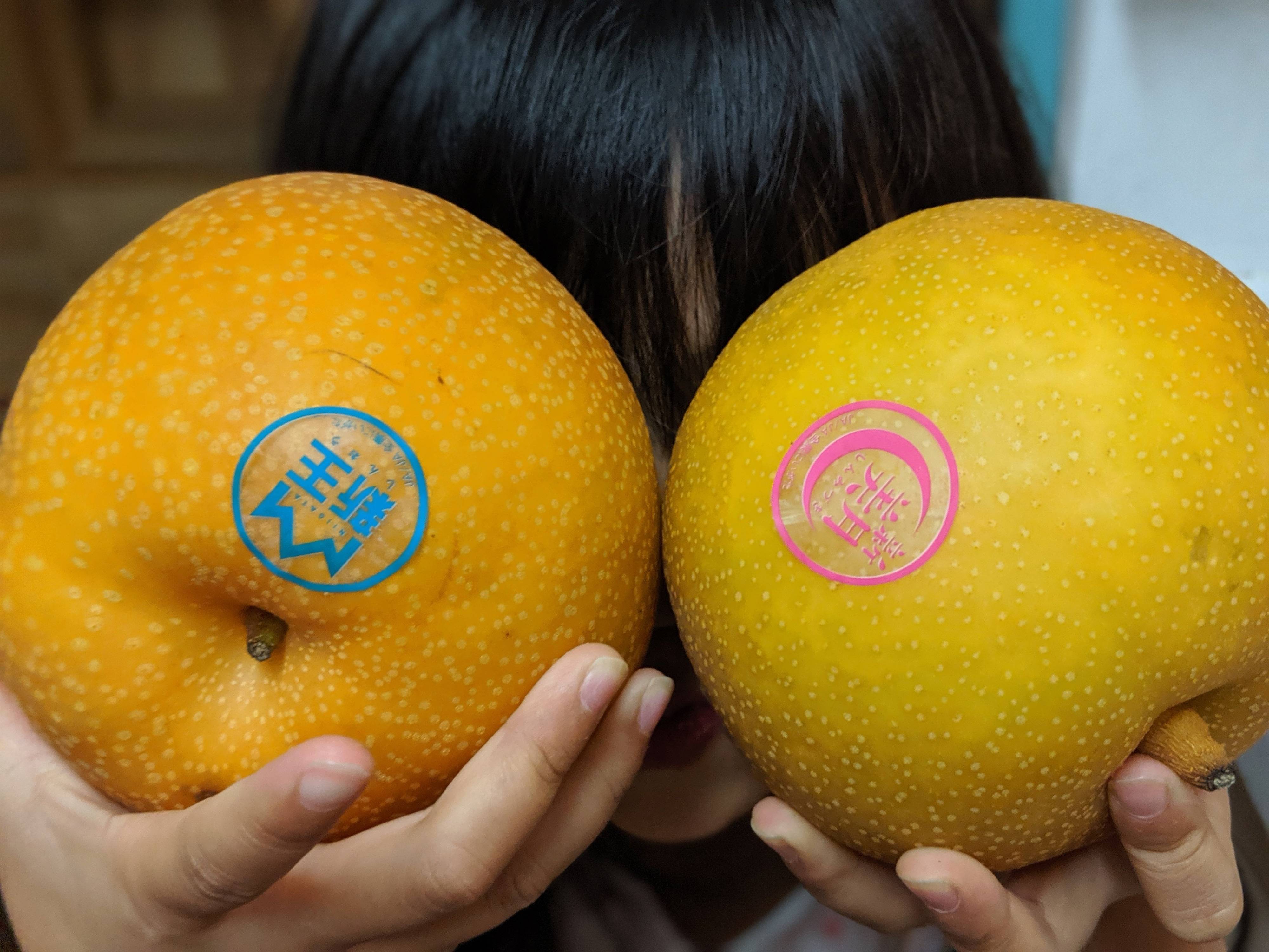 争奪戦のこのコ！