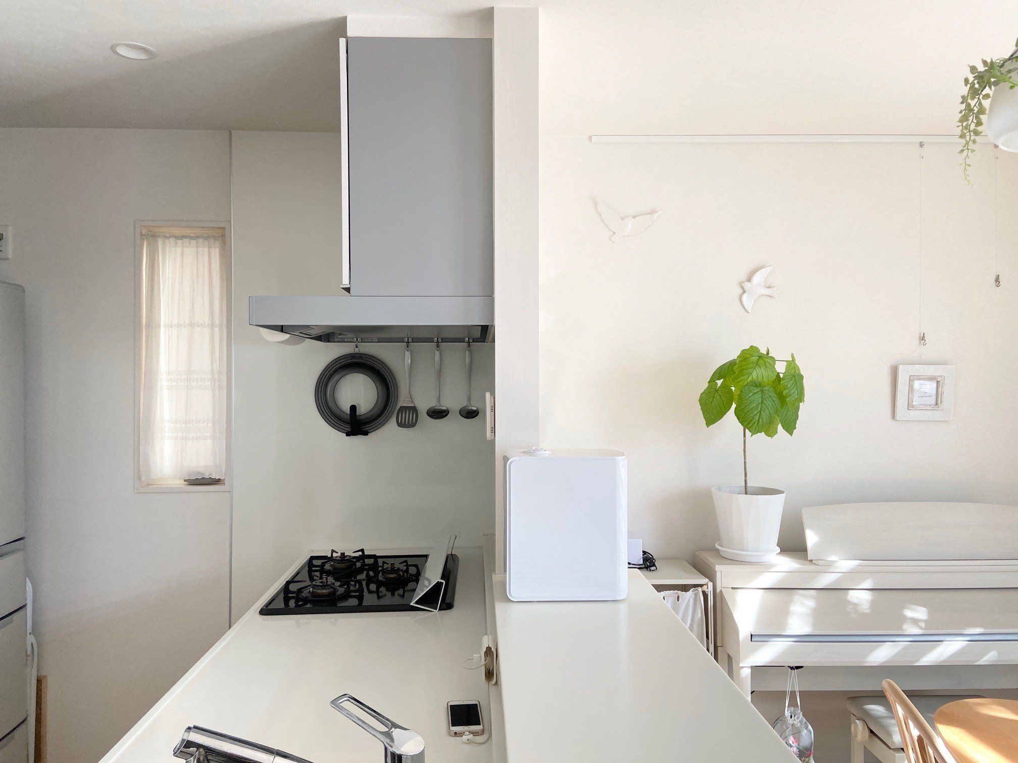 【自己紹介】サンキュ！STYLEライターのkaehalonです。