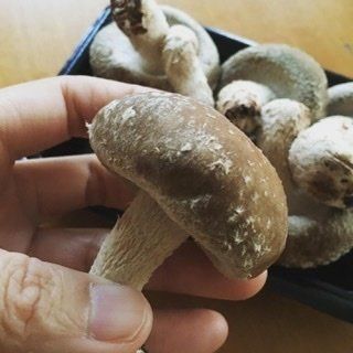 厚いにもほどがある！