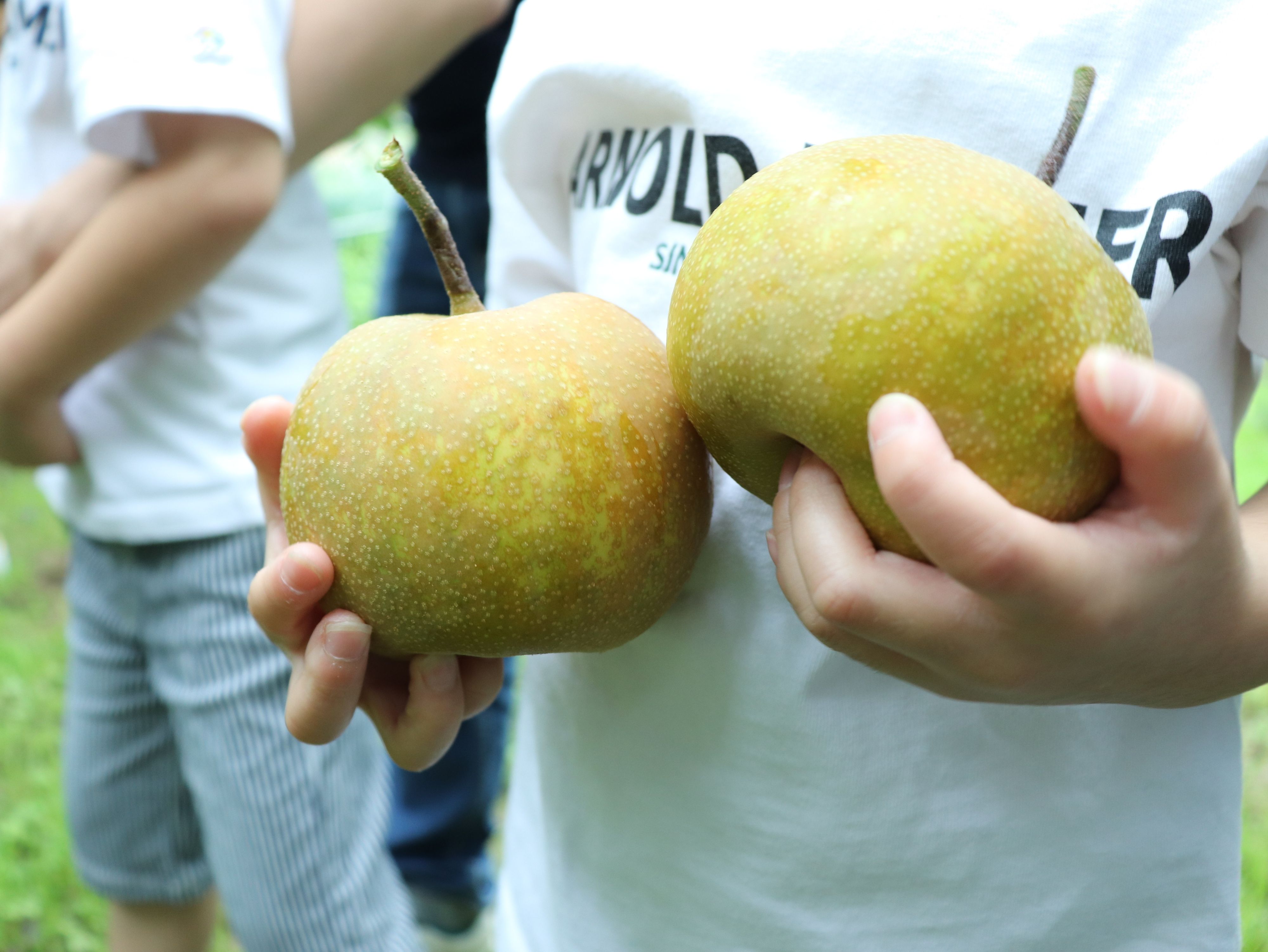 海老原家の食育～2019～