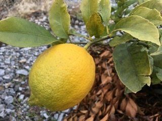 2019年を振り返って