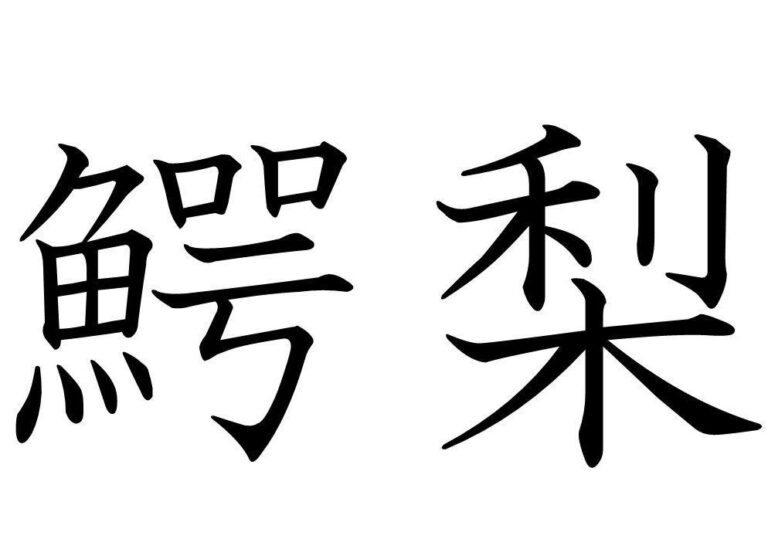 【知っていると自慢できる!?】難読漢字クイズ「鰐梨」はなんて読む？