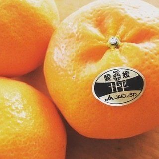 かんきつ王国、愛媛県産甘平。