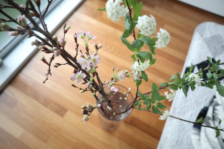 【春を先取り！】季節の花とおうちでほっこり時間