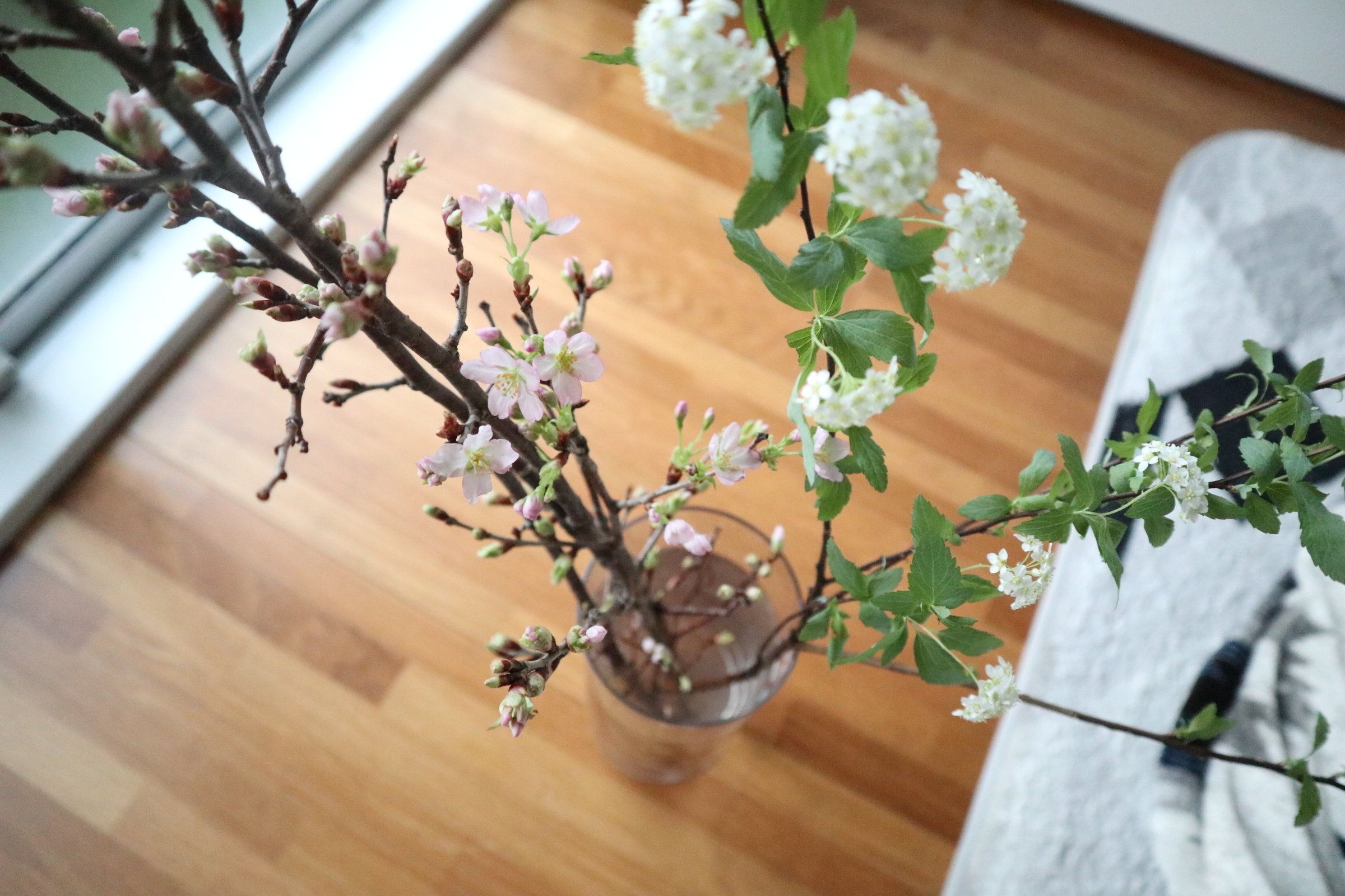 【春を先取り！】季節の花とおうちでほっこり時間