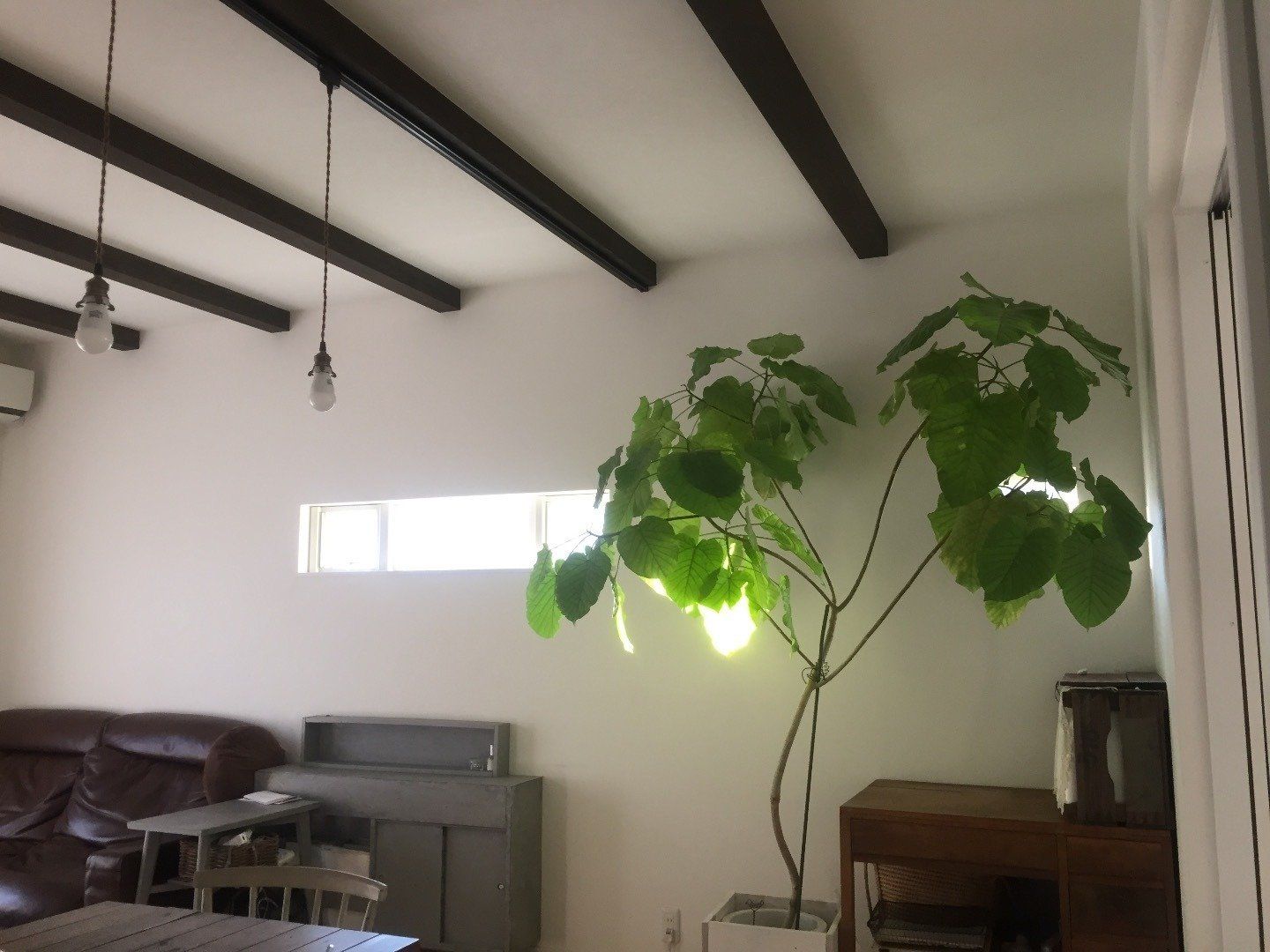 朝時間の過ごし方で変わる！1000万貯蓄者の朝活って？