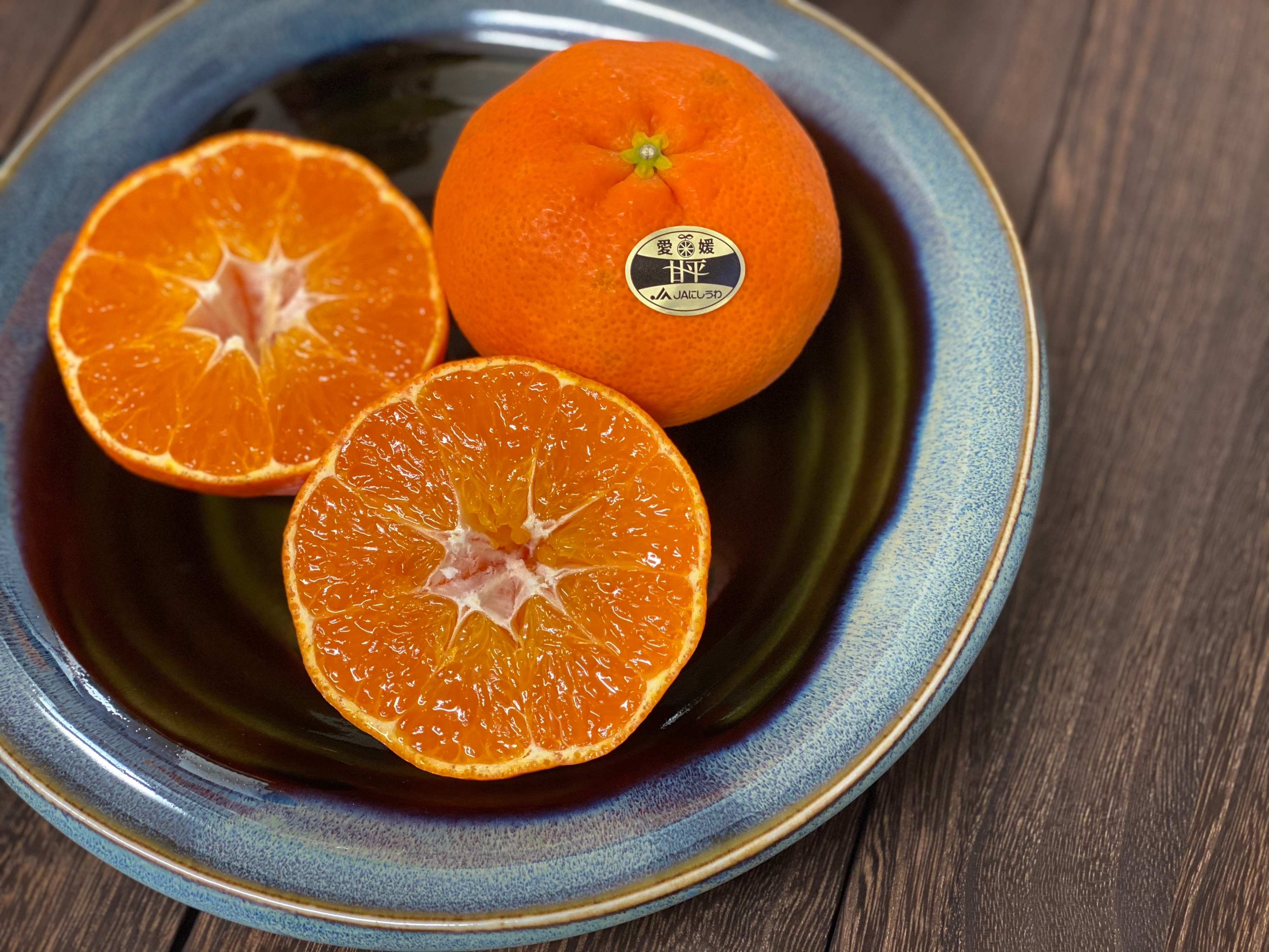 【節約】在宅ワーママのリアルお昼ごはん事情