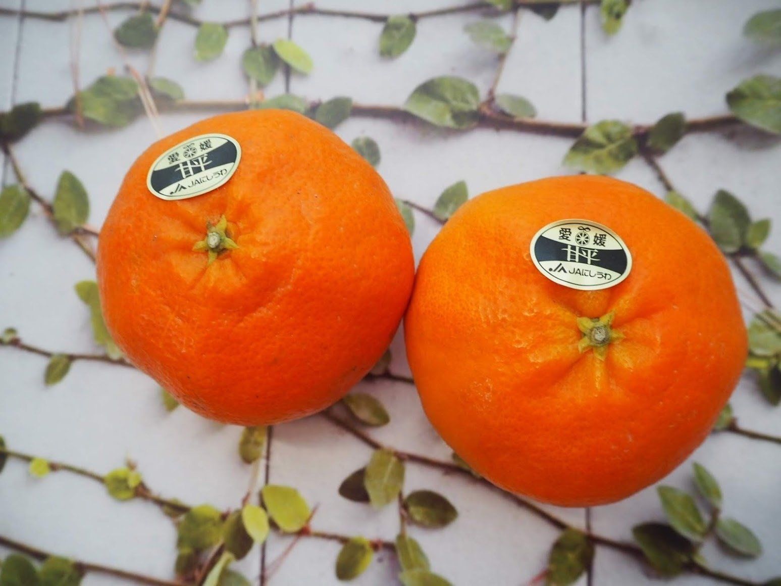 甘くてシャキッ！プチプチ！なアレ☆