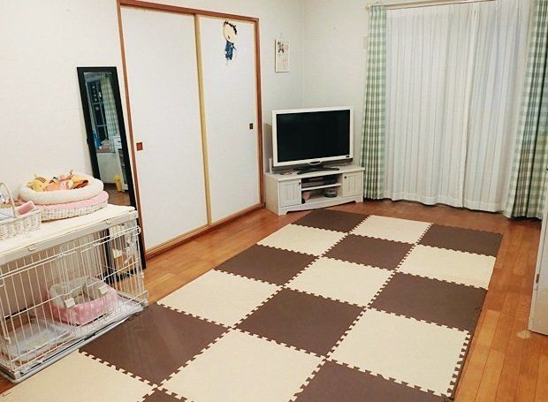 片付けルール８を実行！何年かぶりにわが家が好きになれた！