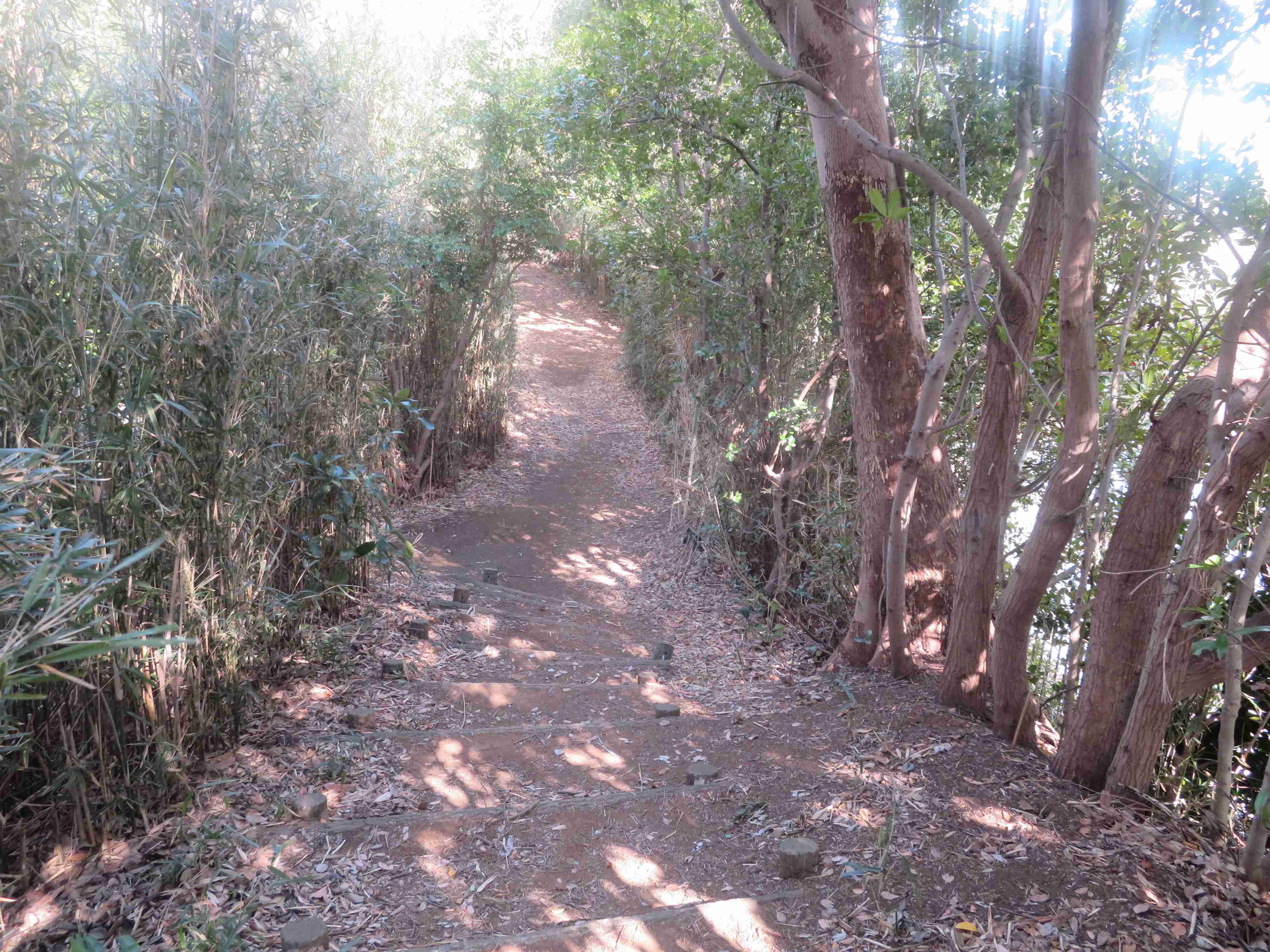 疲れて動けない人にこそおすすめ！心と体を癒す散歩法