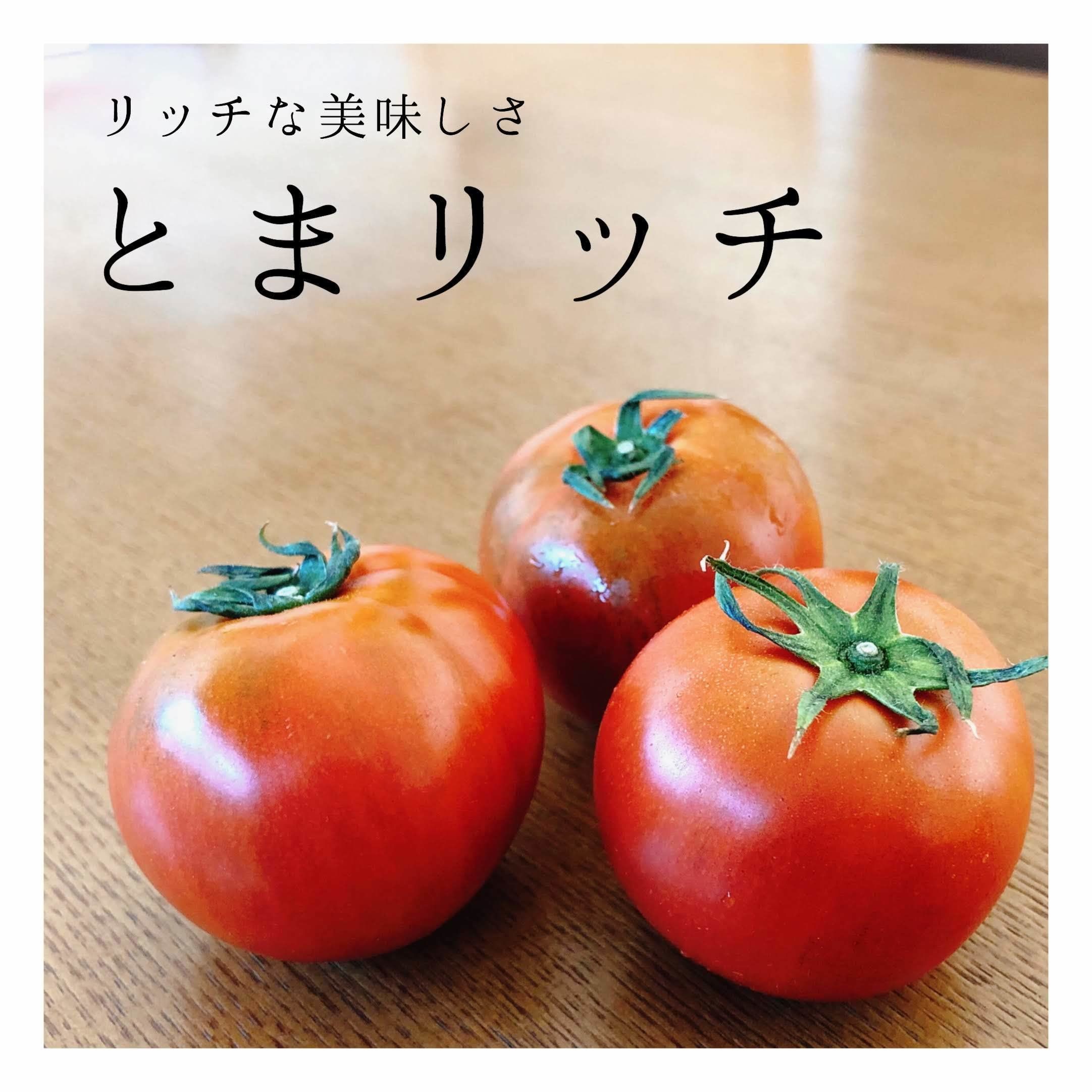 トマトと妊娠中の思い出