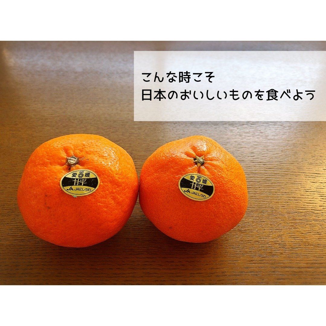 こんな時こそ日本のおいしいものを食べよう