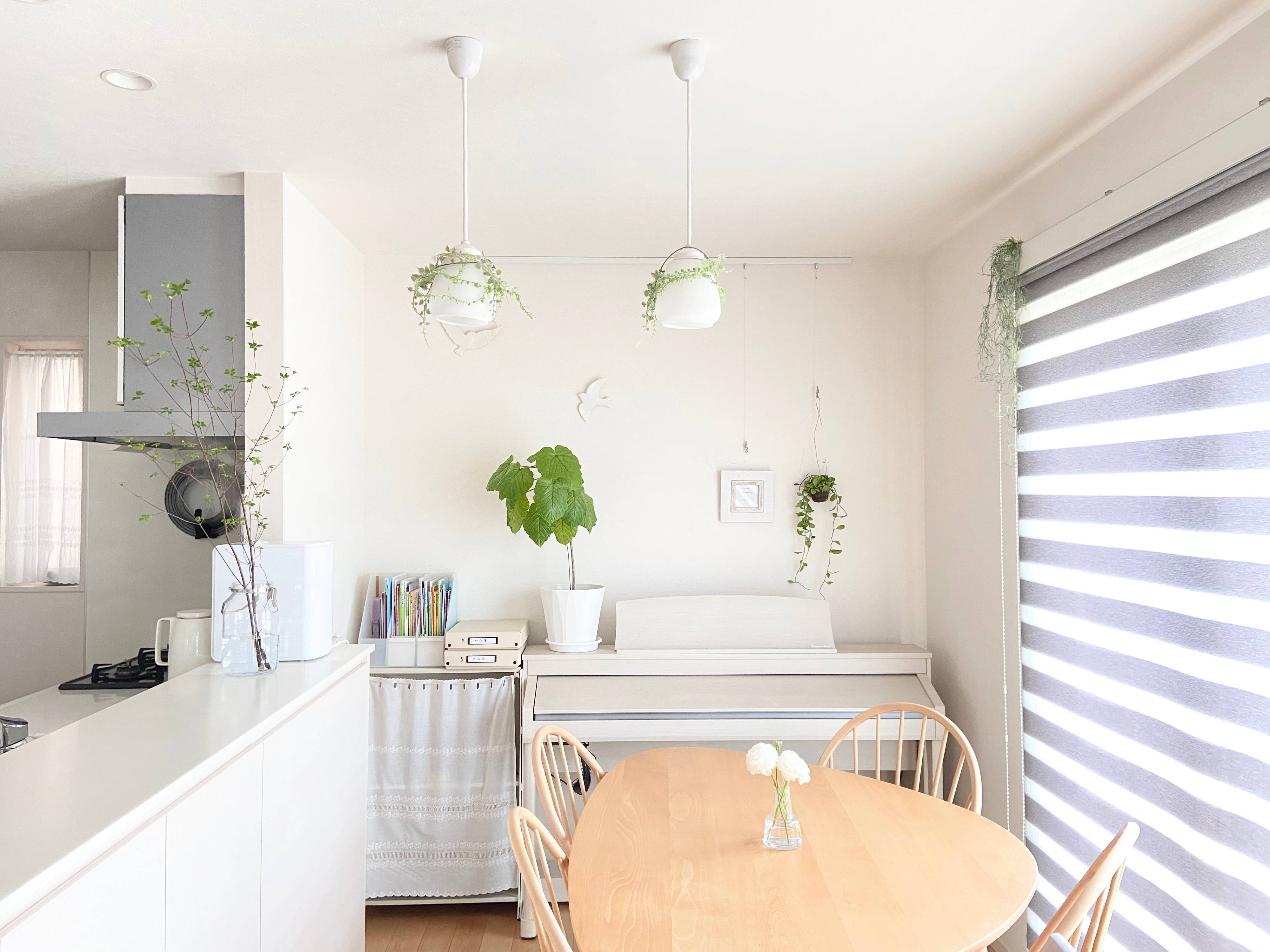 癒し効果抜群！リアルグリーンのある暮らし。