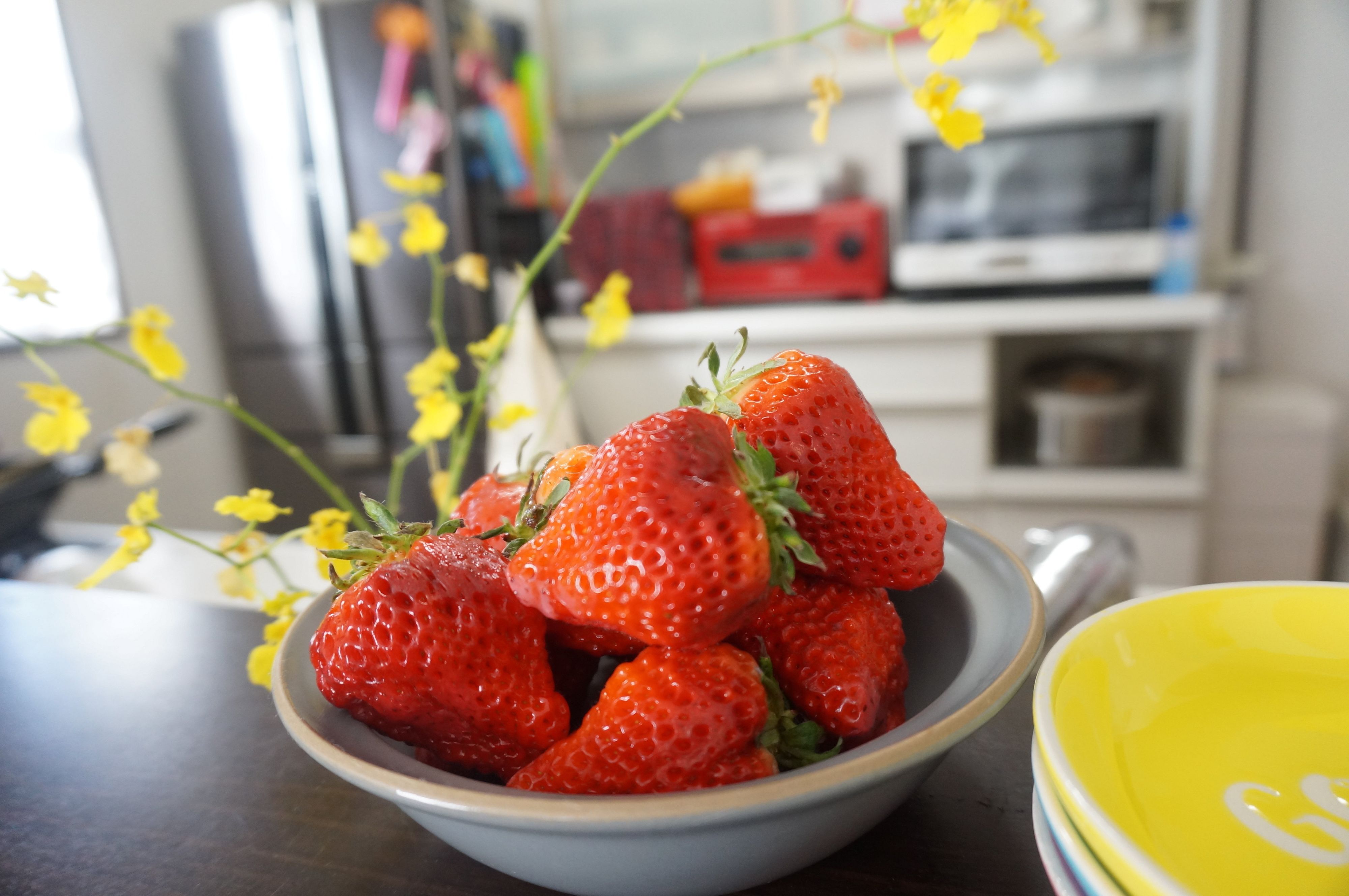 春といったらやっぱりいちご！