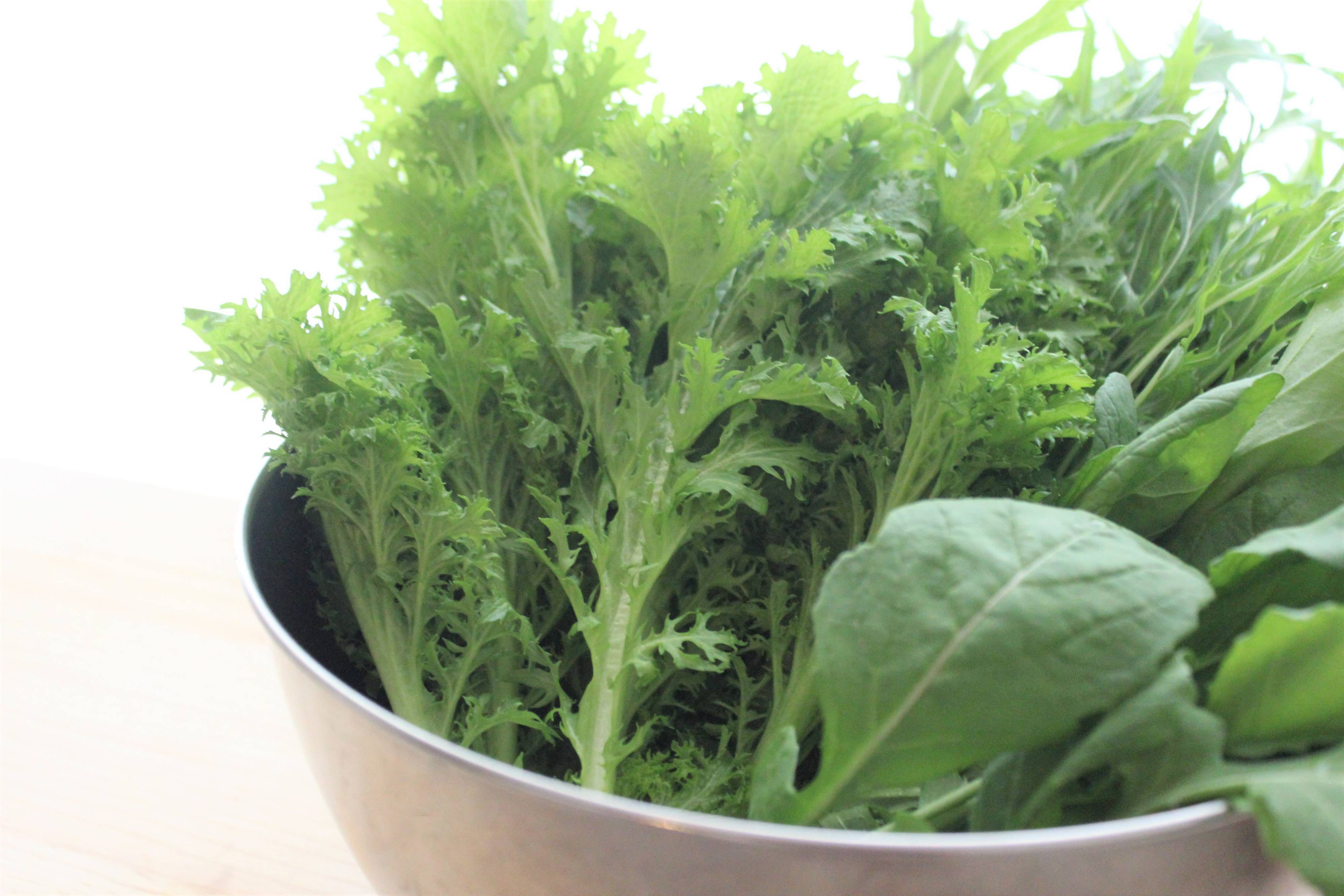 毎日のお料理が楽になるかも。キーワードは「つくりて」。サンキュ！全農部として活動させていただくことになりました。