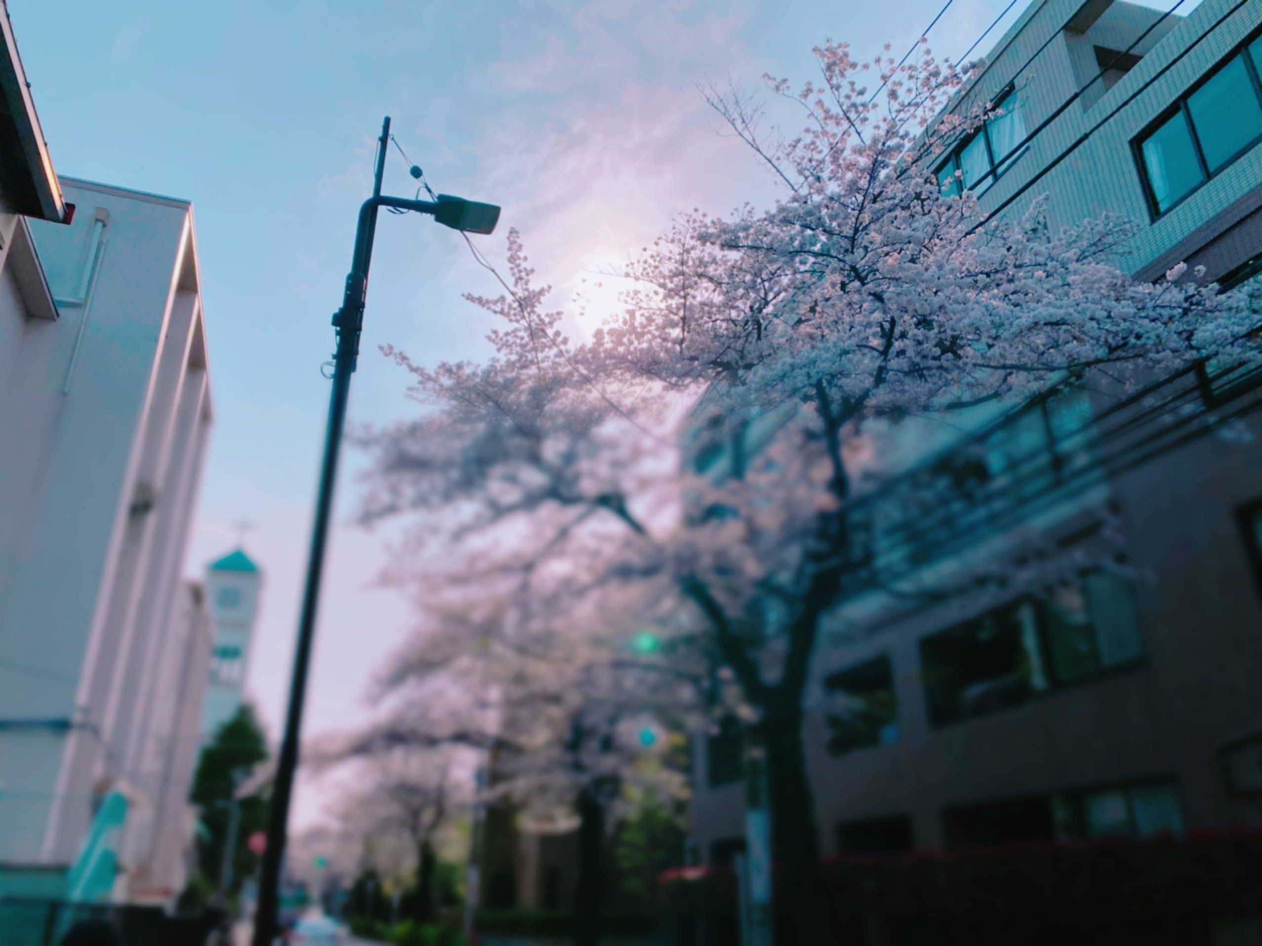 子供達が大好きな運動会