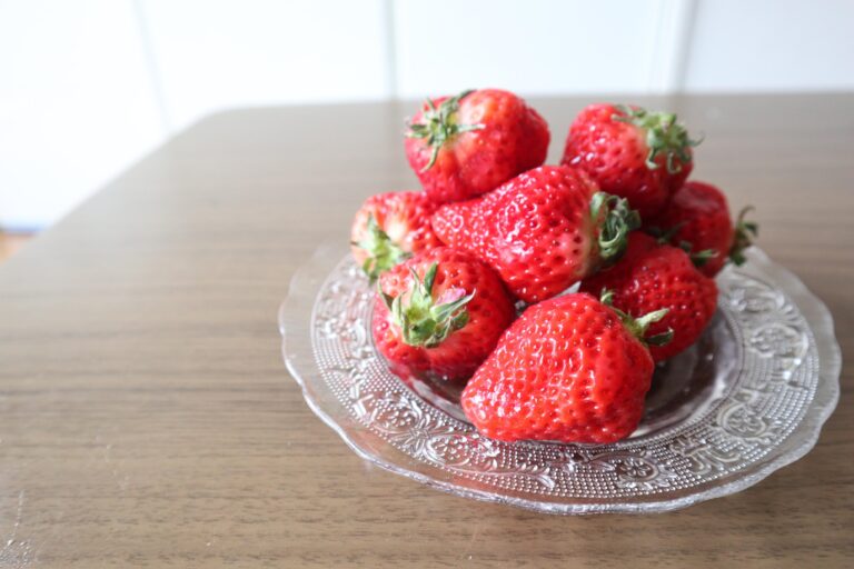 最高のおやつ