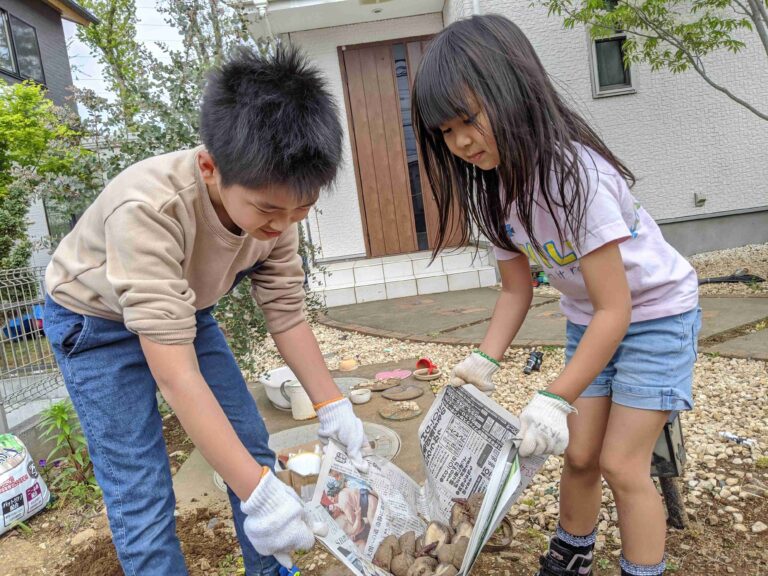 夏のはたけ、始めました〜！！