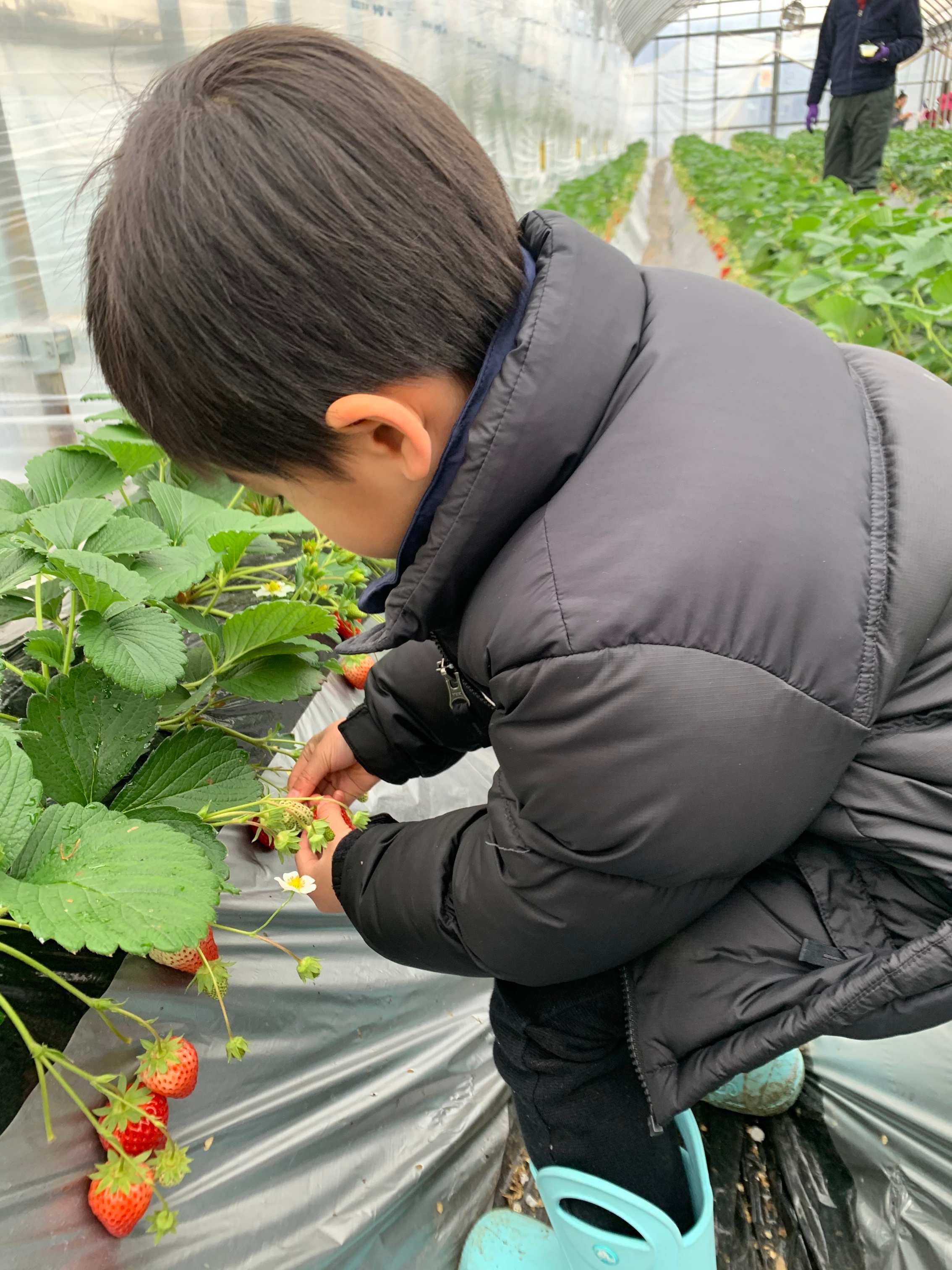 ママと家族の健康を守る「食農育」～サンキュ全農部！に参加します