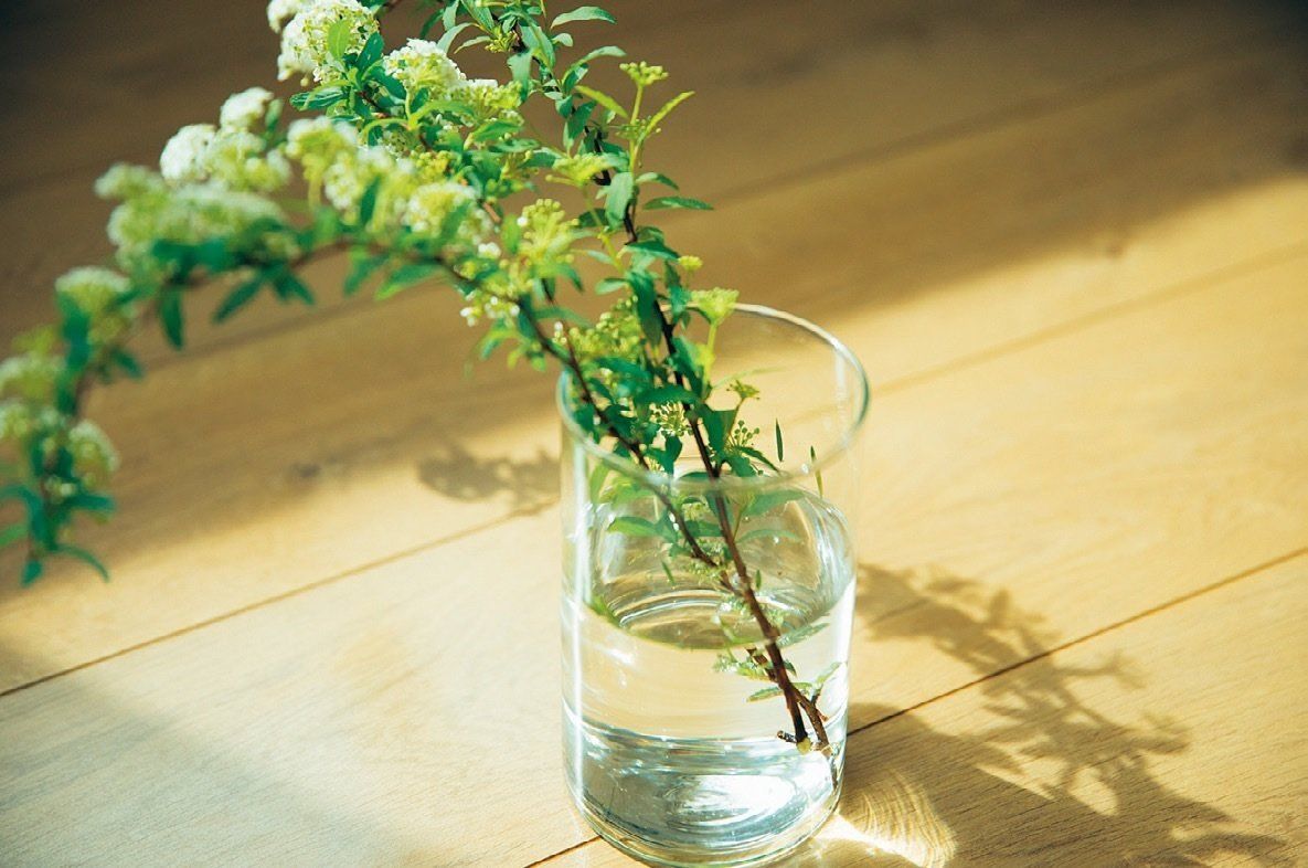 いちいち考えずに回すだけ！最強ルーティンで1000万円がラクラク貯まる！