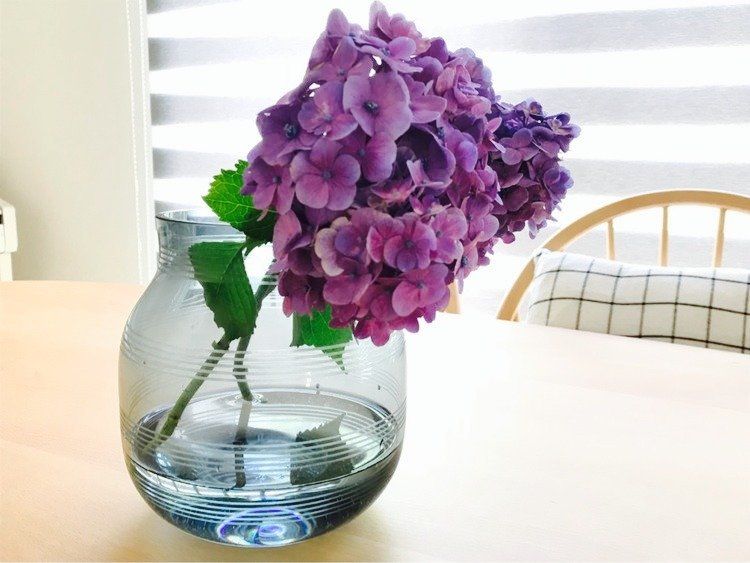 梅雨時期を心地よく乗り切る。私が楽しみにしてること3つ。