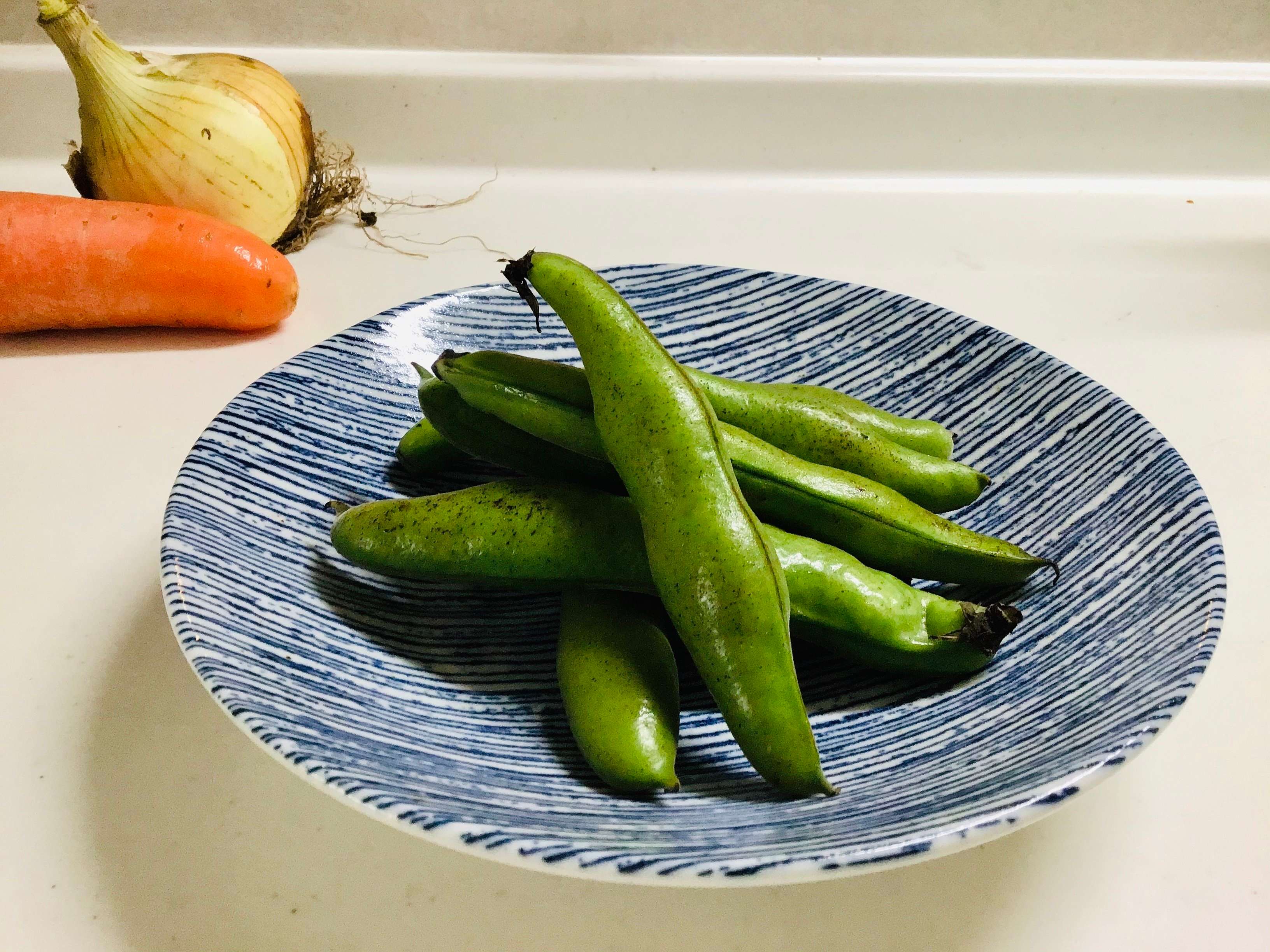 【ニトリ】今すぐ集めたい！超軽量食器karu:ecleシリーズが可愛くておしゃれ！