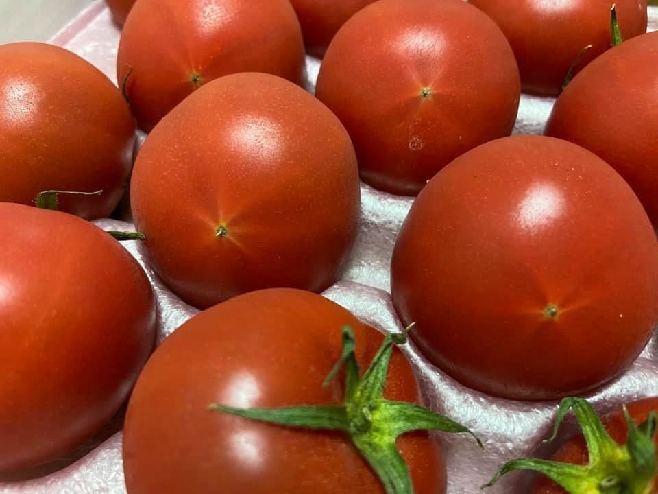 これからの未来を考えてみる。