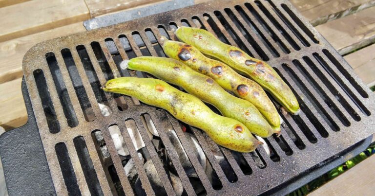 今が旬！ほくほく食感のソラマメ初夏の味レシピ
