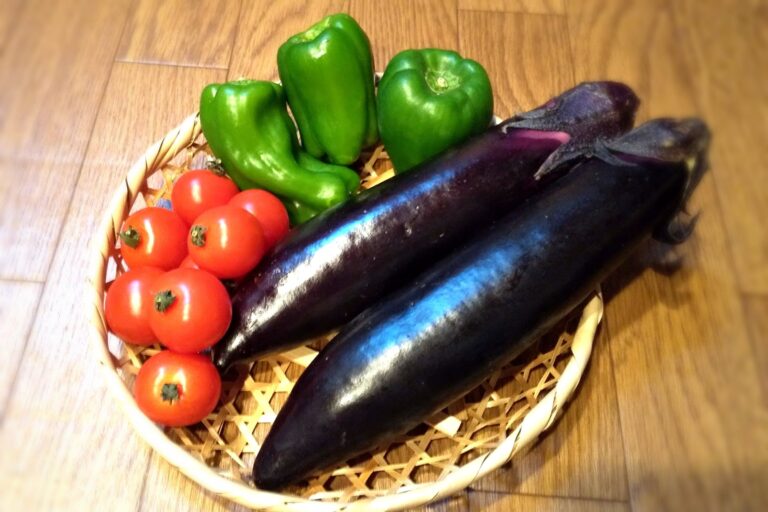 じつは、トマトは冷蔵庫に入れない方がいい!?保存方法を覚えておきたい野菜3選