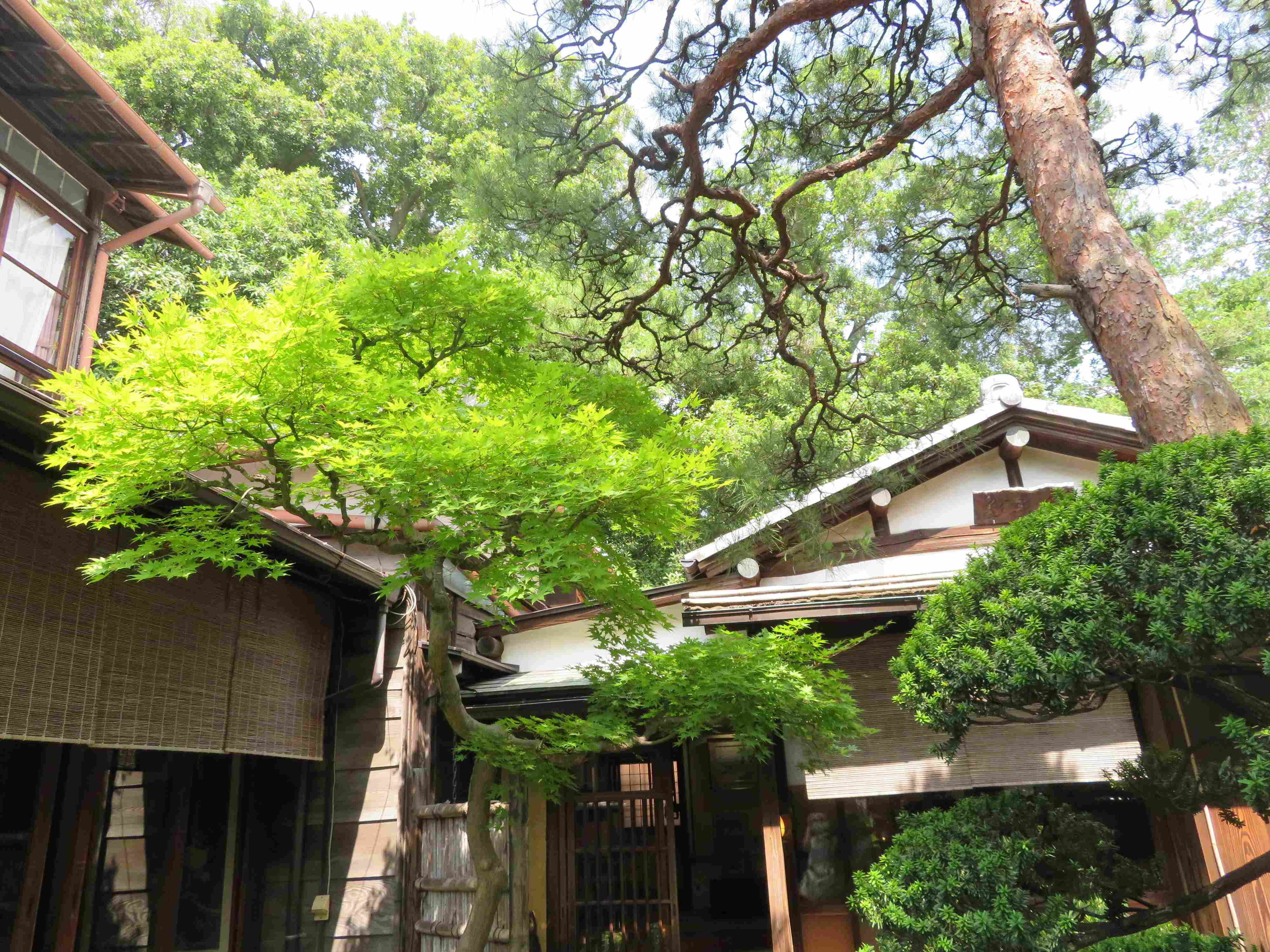 自由が丘駅から徒歩5分の古民家カフェは都会のオアシス