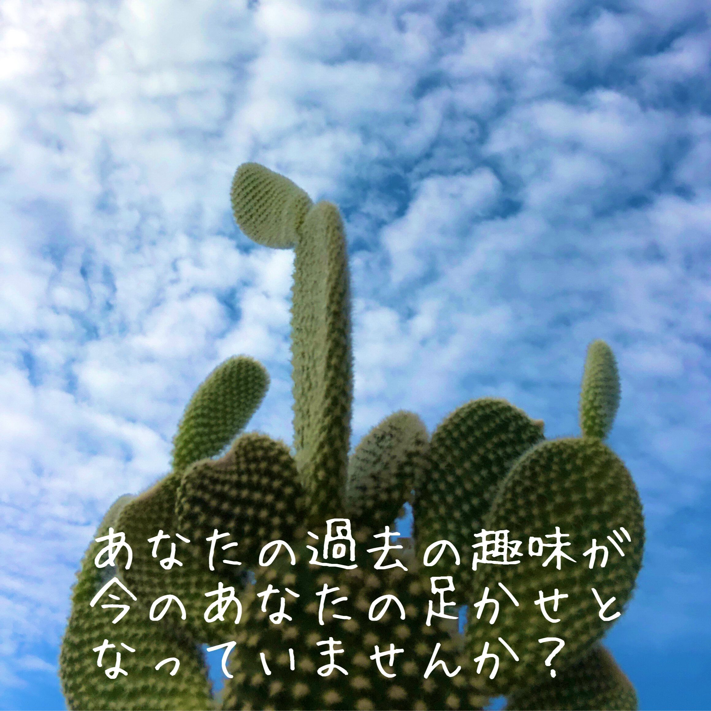 過去の趣味が今のあなたの足かせとなっていませんか？