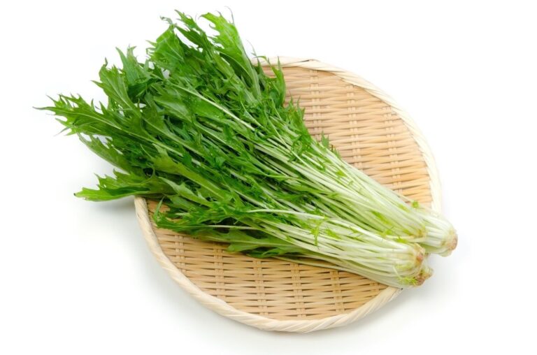 【管理栄養士監修】「水菜」の主な栄養素とカロリーまとめ！おすすめな調理方法は？