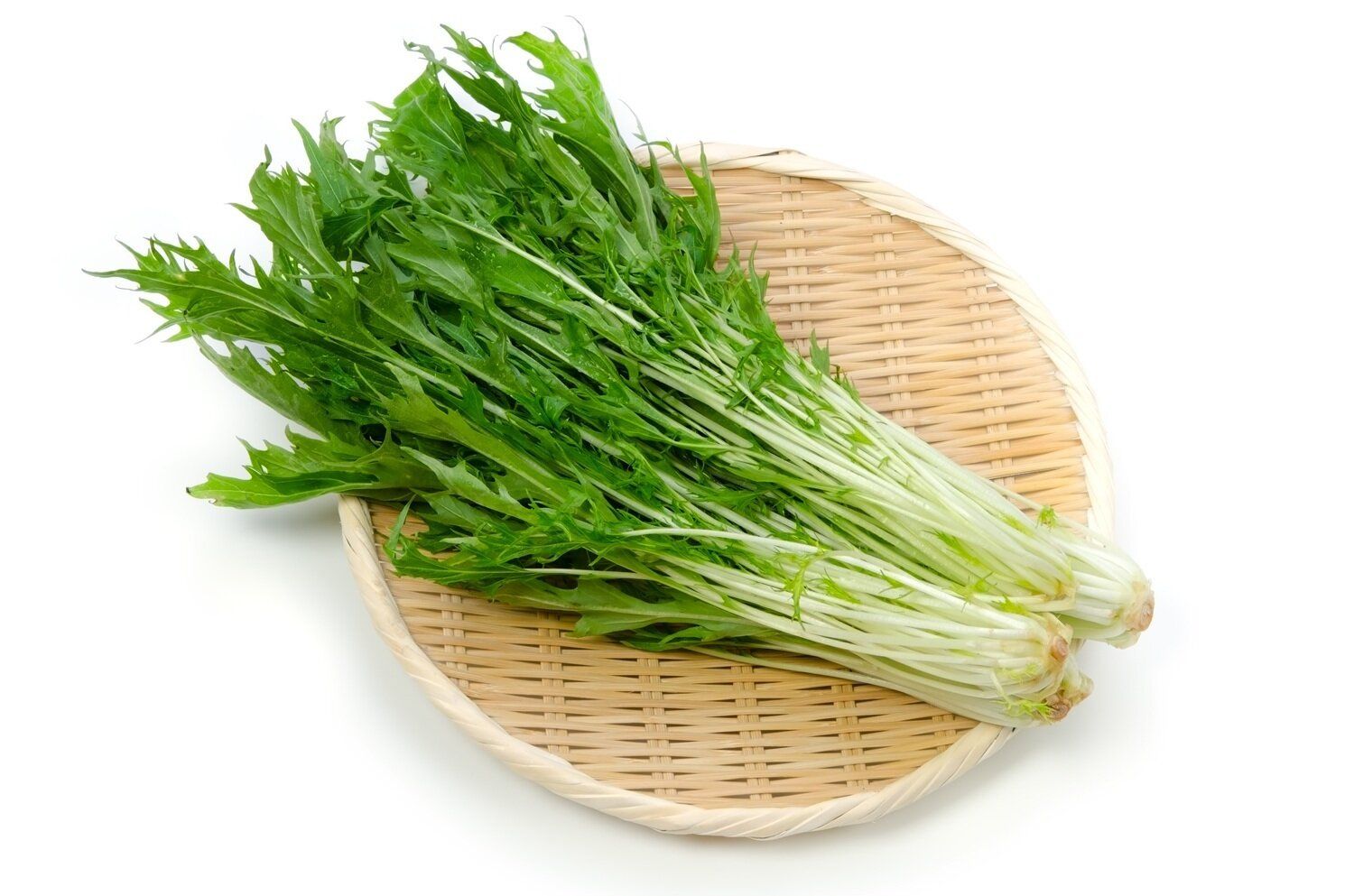 【管理栄養士監修】「水菜」の主な栄養素とカロリーまとめ！おすすめな調理方法は？