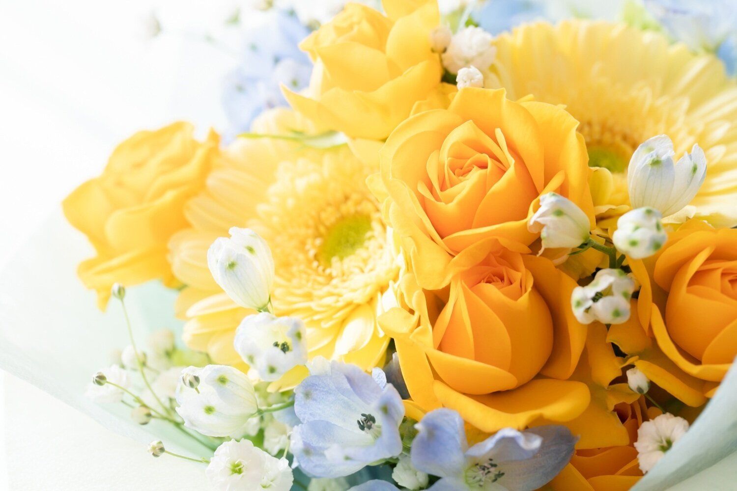 アフターコロナで運気が上がる人　VS　下がる人【Dr.コパの風水解説】