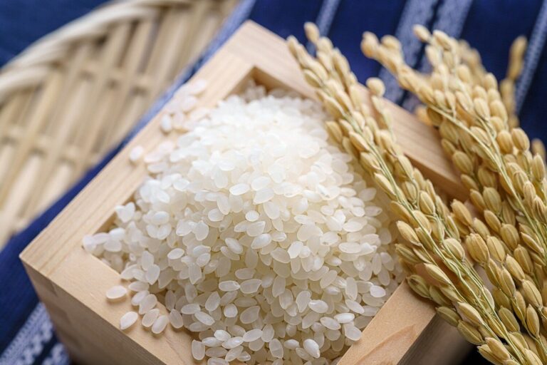【管理栄養士監修】「お米」に賞味期限はあるの？傷んだお米の特徴や正しい保存方法も解説